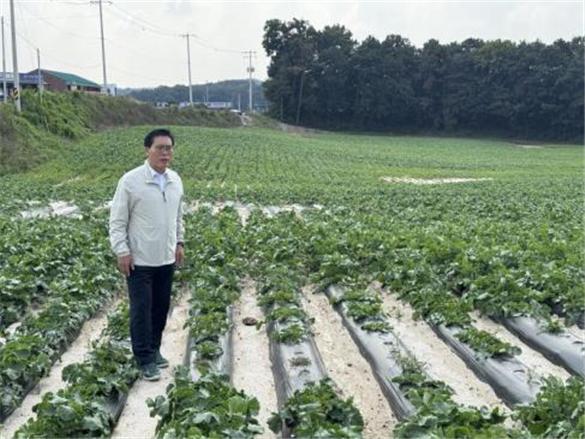 송석준 의원, “이천지역 무, 고구마 등 채소 농가 방문해 애로사항 경청 및 지원방안 모색”