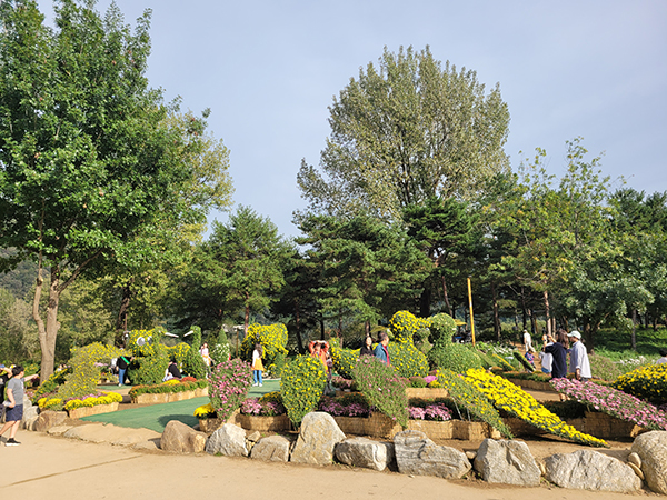 가평군, ‘자라섬 꽃 페스타(가을)’, 177억 직‧간접 경제효과 달성