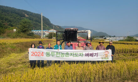 동두천시, 농촌지도자연합회 공동생산 벼 베기 행사 추진