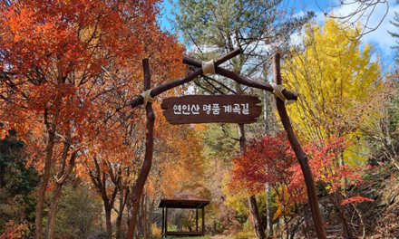 경기도, 산림청이 뽑은 오색단풍 ‘가평 연인산 명품 계곡길’ 10월 말 절정 예상