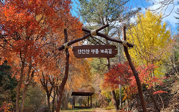 경기도, 산림청이 뽑은 오색단풍 ‘가평 연인산 명품 계곡길’ 10월 말 절정 예상