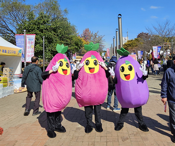 여주시, 고구마 캐릭터 명물이 되다