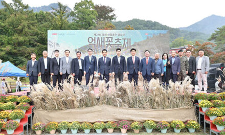 포천시, ‘포천의 대표 축제’제27회 산정호수 명성산 억새꽃 축제 성황리 개막