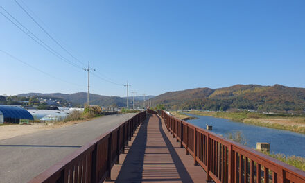 용인특례시, 경안천 포곡~모현 구간 4.7km 산책로 완공