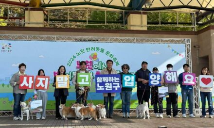 서울 노원구 반려동물 축제  개최