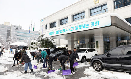 안양시의회, 폭설 대응 시의원 및 직원들 제설작업 나서