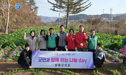 양평군의회,‘제34회 사랑의 김장 나누기 행사를 위한 배추 수확 봉사 실시