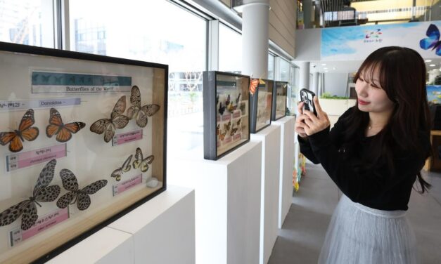 서울 노원구, 발길 닿는 곳곳마다 온 동네가 갤러리