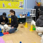 서울 노원구, 반려동물문화센터 “힐링하시개 댕댕하우스” 운영