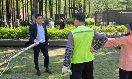 손영준 노원구의장, 연휴 기간 돌풍에 부러진 나뭇가지 민원 받고 직접 현장 대응