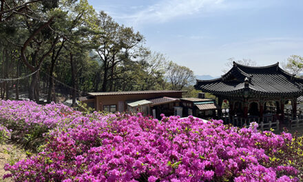 서울 금천구, 호압사에서 누리는 문화와 휴식 사찰림 산림여가공간 조성
