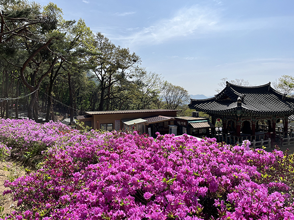 서울 금천구, 호압사에서 누리는 문화와 휴식 사찰림 산림여가공간 조성