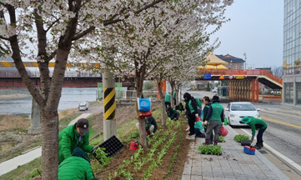 가평군, 가평읍 4km 제방 구간별 특색 담은 산책경관 조성