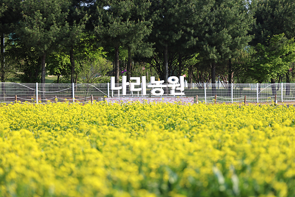 양주시, 봄꽃 향기 따라 걷는 9일간의 초대 양주 나리농원 5월 24일 봄 개장