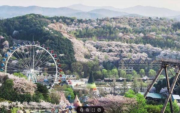 용인특례시, 장애인 행복주간 운영 에버랜드‧민속촌 무료 개방
