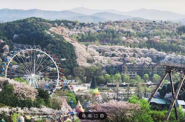 용인특례시, 장애인 행복주간 운영 에버랜드‧민속촌 무료 개방