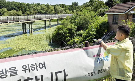 의왕시의회, 왕송호수 녹조라떼 심각 한채훈 의원 “의왕시 철저한 수질 관리 펼쳐야”