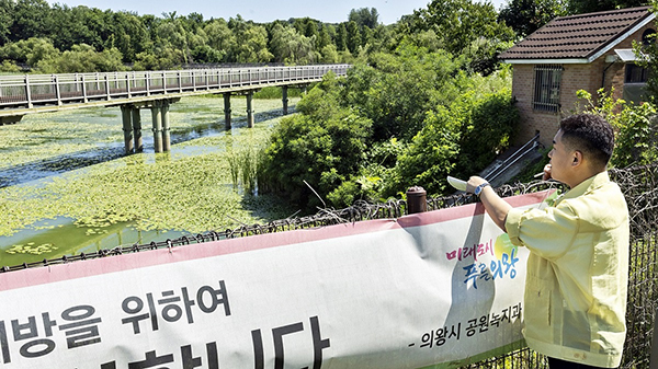 의왕시의회, 왕송호수 녹조라떼 심각 한채훈 의원 “의왕시 철저한 수질 관리 펼쳐야”