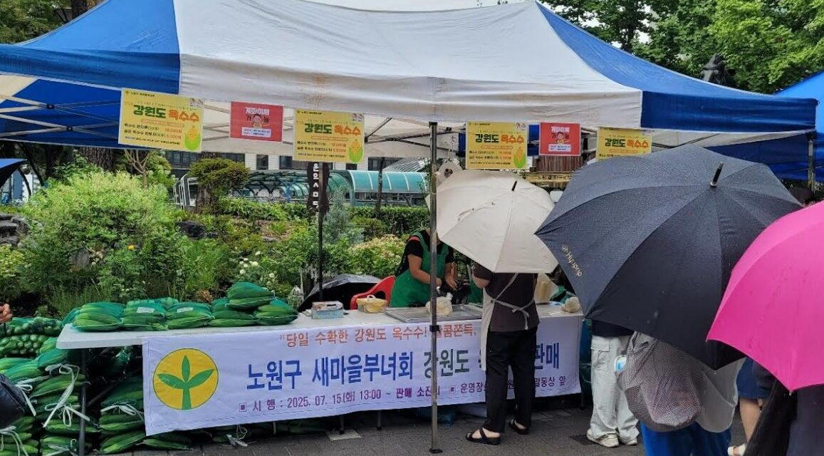노원구새마을부녀회, 강원도 옥수수 특판행사 진행