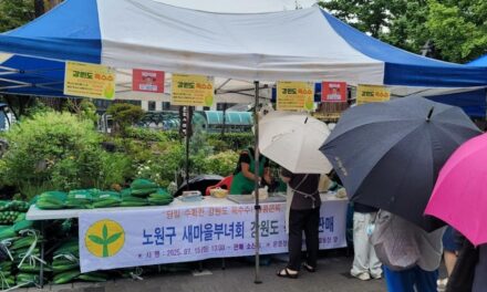 노원구새마을부녀회, 강원도 옥수수 특판행사 진행