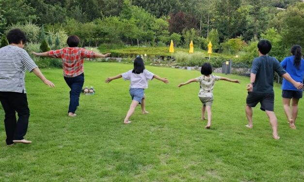 노원구, 불암산 산림치유센터 여름 특별 힐링 프로그램 운영