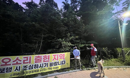 하남시, 위례신도시 오소리 긴급 대응 시민 보호 총력