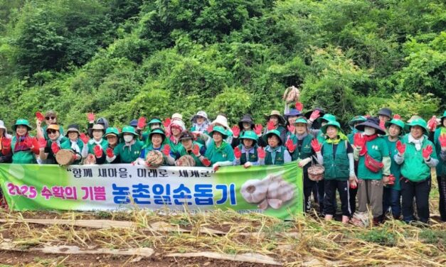 서울 노원구새마을부녀회, 농촌일손돕기 진행