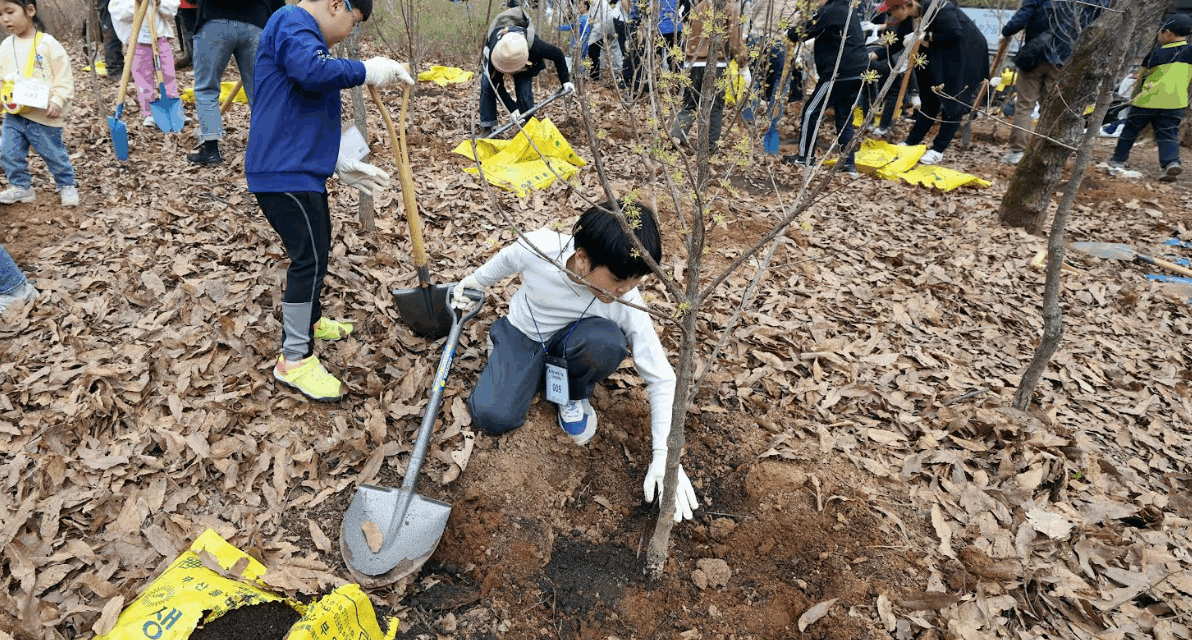 서울 노원구, 100만 그루 나무심기 본격 추진