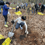서울 노원구, 100만 그루 나무심기 본격 추진