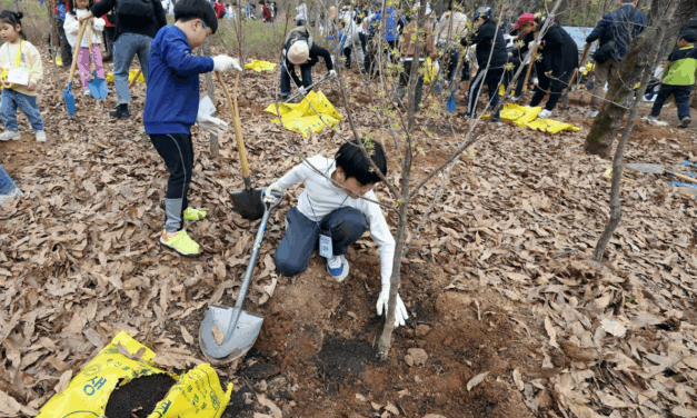 서울 노원구, 100만 그루 나무심기 본격 추진
