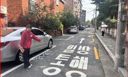 서울 도봉구의회, 강혜란 의원 ‘일방통행 표시 개선’으로 주민 불편 해소