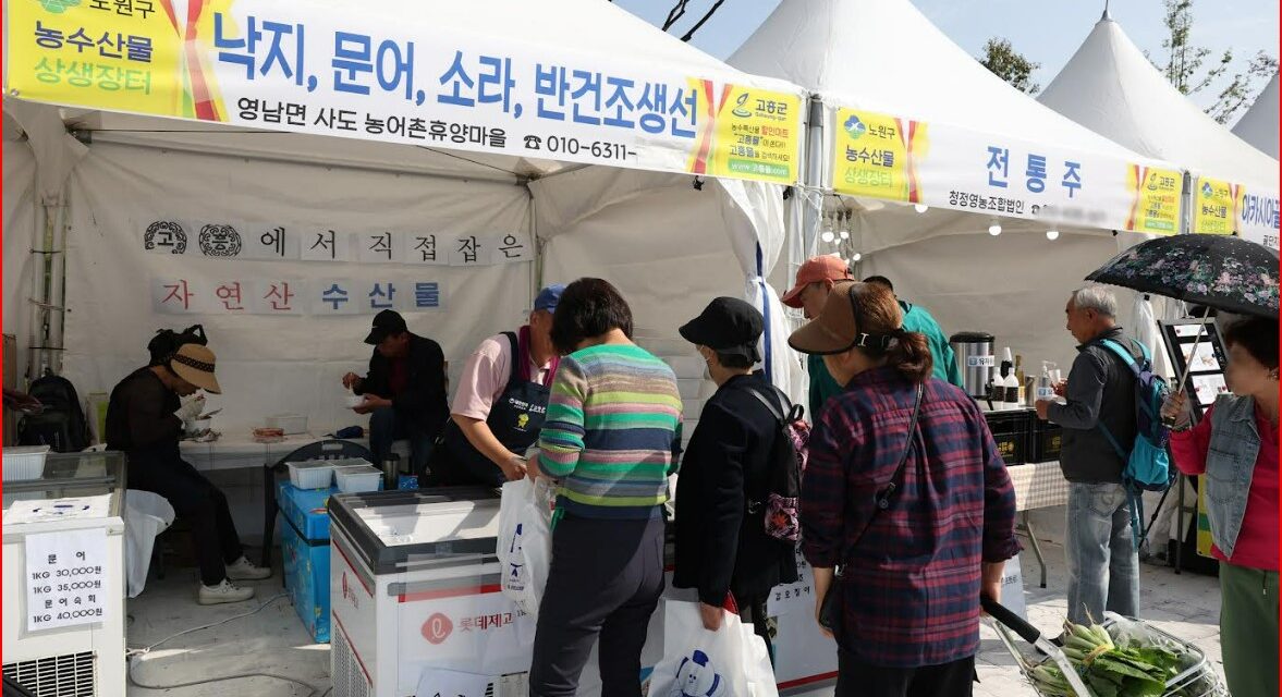 노원, 추석맞이 와  연이어 개최