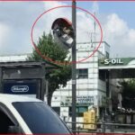 도봉구의회, 이호석 의원 도봉구민회관 교통 안전 개선