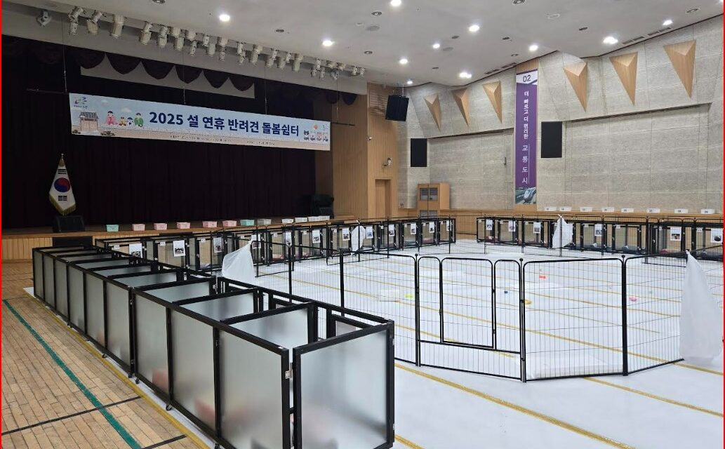 노원구, 재이용 의사 100% 추석 연휴 반려견 돌봄 쉼터 운영
