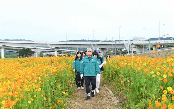 구리시, 코스모스 꽃길 따라 구리로 구리 코스모스 축제 ‘안전 점검’으로 준비 완료