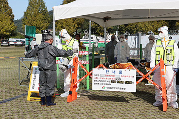가평군, 실전 같은 ‘가축전염병 가상방역훈련’ 실시