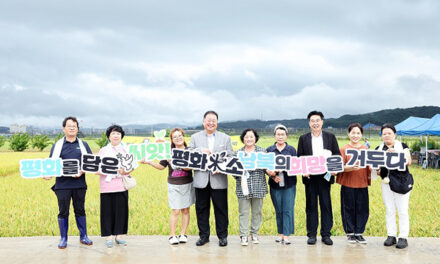 파주시,‘평화를 담은 씨앗 평화미(米)소 햅쌀 출시