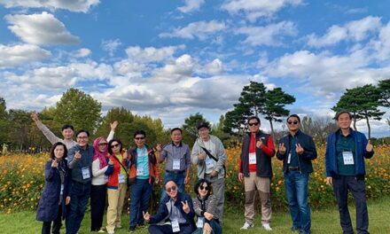 여주시, 금은모래강변공원 “코스모스 만개”