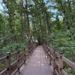 하남시 황산숲 데크로드 12월부터 시민 누구나 이용