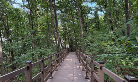 하남시 황산숲 데크로드 12월부터 시민 누구나 이용