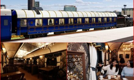 서울 노원구, 화랑대 철도공원 기차 레스토랑 <익스프레스 노원> 운영