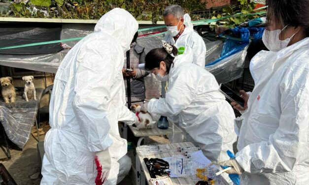 노원구, 대규모 애니멀호딩 사례에 민관 협력으로 선제적 대응