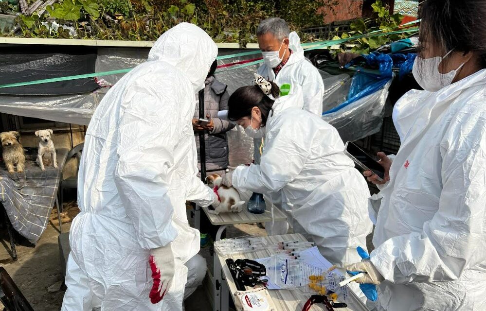 노원구, 대규모 애니멀호딩 사례에 민관 협력으로 선제적 대응