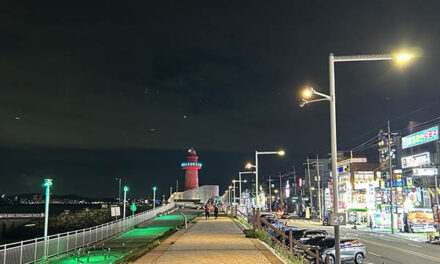 시흥시, 야간 도로 안전성 강화 가로등을 고효율 LED조명으로 100% 교체 완료