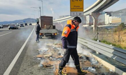 노원소방서, 출장 중이던 소방서직원의 초기 진화로 차량 화재 확산 막아