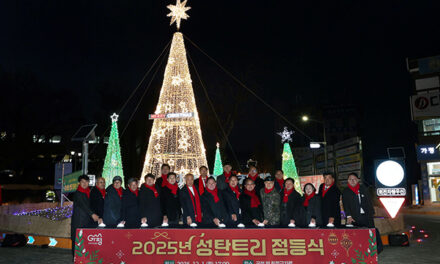 가평군, ‘2025 성탄트리’ 점등 희망의 불빛 밝혀