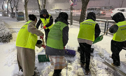 성남시, 강설 대응체계 가동 염화칼슘 살포 등 제설작업 돌입