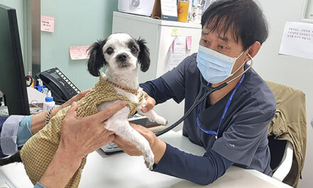 성남시, 성남시립동물병원 진료 대상 ‘시민에 입양된 유실·유기동물’로 확대