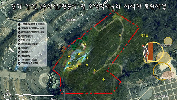 안양시, 병목안시민공원 맹꽁이 오색딱따구리 서식처 복원 국비 4.4억 확보