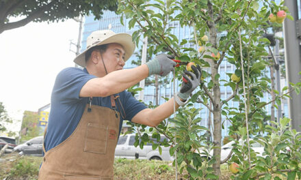오산시, 오산천 따라 쉬어가는 공간 늘어난다